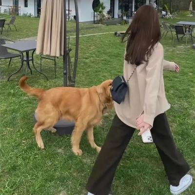 相扑道